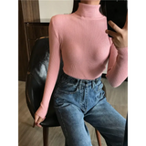2025 Autumn Winter Thick Sweater Women Knitted Ribbed Pullover Sweater Long Sleeve Turtleneck Slim Jumper Soft Warm