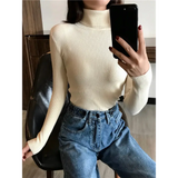 2025 Autumn Winter Thick Sweater Women Knitted Ribbed Pullover Sweater Long Sleeve Turtleneck Slim Jumper Soft Warm