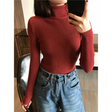 2025 Autumn Winter Thick Sweater Women Knitted Ribbed Pullover Sweater Long Sleeve Turtleneck Slim Jumper Soft Warm
