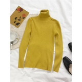 2025 Autumn Winter Thick Sweater Women Knitted Ribbed Pullover Sweater Long Sleeve Turtleneck Slim Jumper Soft Warm