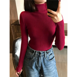 2025 Autumn Winter Thick Sweater Women Knitted Ribbed Pullover Sweater Long Sleeve Turtleneck Slim Jumper Soft Warm