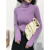 2025 Autumn Winter Thick Sweater Women Knitted Ribbed Pullover Sweater Long Sleeve Turtleneck Slim Jumper Soft Warm