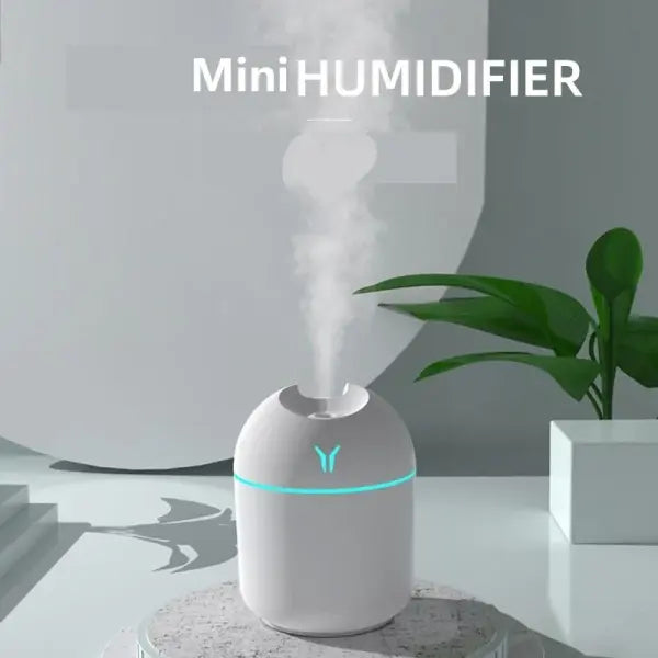 Mini Air Humidifier Mist Discharge 250ml LED Lamp Home Car Quiet Use - style 2