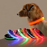 LED Nylon Dog Leash Night Safety Luminous Glow in the Dark Pet Lead