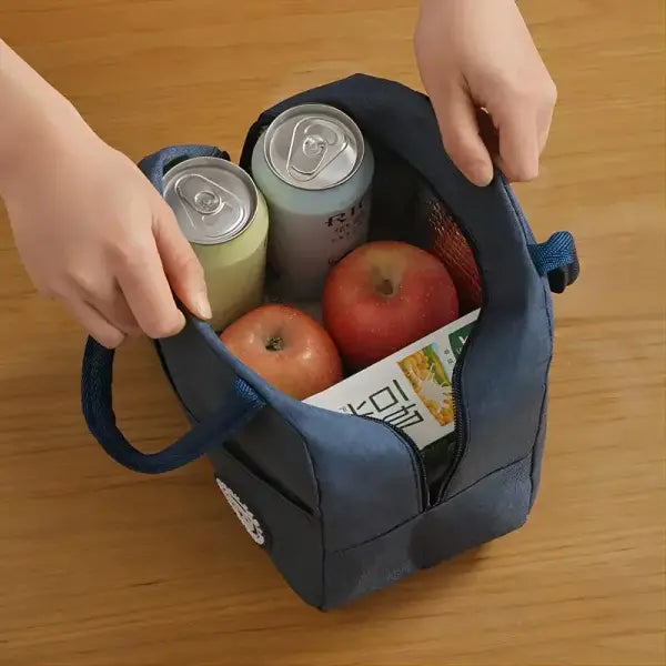 Insulated Lunch Bag Bento Pack Aluminum with Ice Pack Capacity