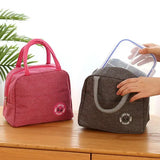 Insulated Lunch Bag Bento Pack Aluminum with Ice Pack Capacity