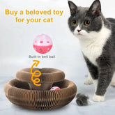 Magic Organ Cat Scratcher for Fun and Claw Care