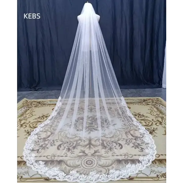 Selfie Bridal Veil with Long Lace Tiara for Wedding Accessories - Himpall