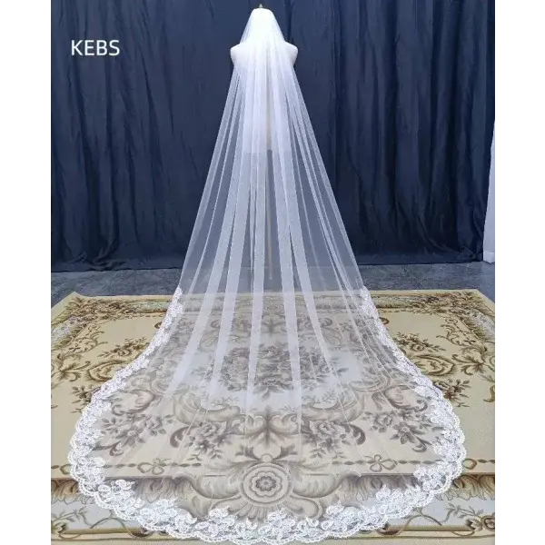 Selfie Bridal Veil with Long Lace Tiara for Wedding Accessories