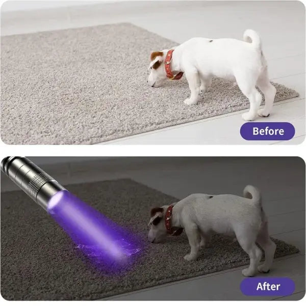 UV Flashlight 395nm Ultraviolet Torch With Pen Clip Portable AAA Batteries Used Violet Light Pet Urine Scorpion