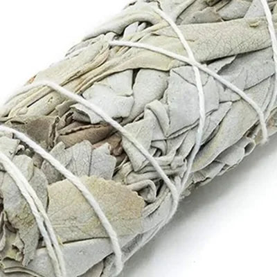 10cm White Sage Bundle for Energy Cleansing and Spiritual Practices