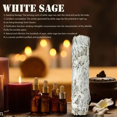 10cm White Sage Bundle for Energy Cleansing and Spiritual Practices