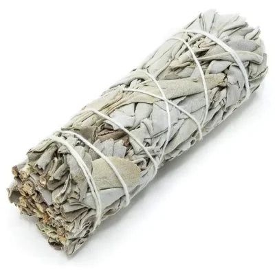 10cm White Sage Bundle for Energy Cleansing and Spiritual Practices - White Sage