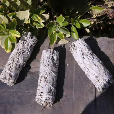 10cm White Sage Bundle for Energy Cleansing and Spiritual Practices