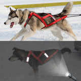 Large Dog Vest Alaska Sled Dog Hand Holding Rope - Hair Remover