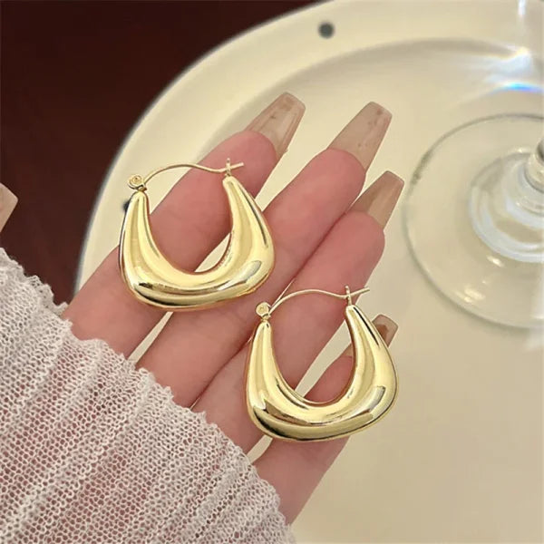 2025 Fashion French Hoop Earrings – Vintage Metal Jewelry Gift - Himpall