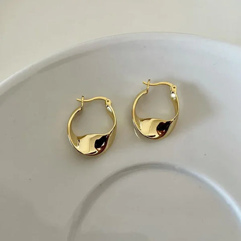 2025 Fashion French Hoop Earrings – Vintage Metal Jewelry Gift - Himpall