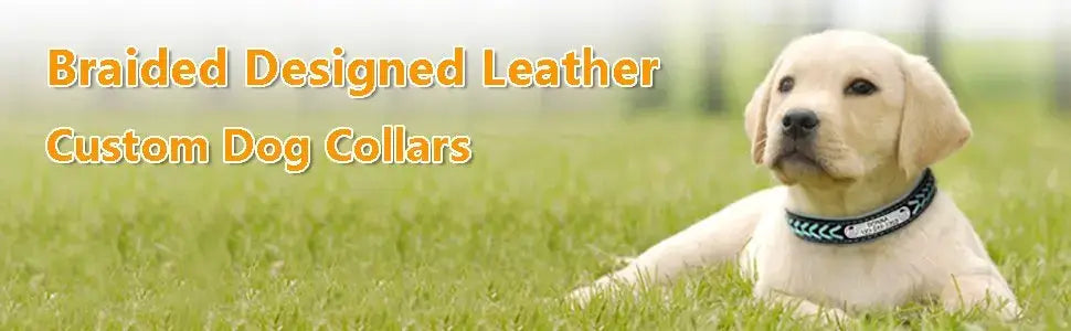 Braided Name-Plated Personalized Leather Dog Collar with Engraved ID Tags