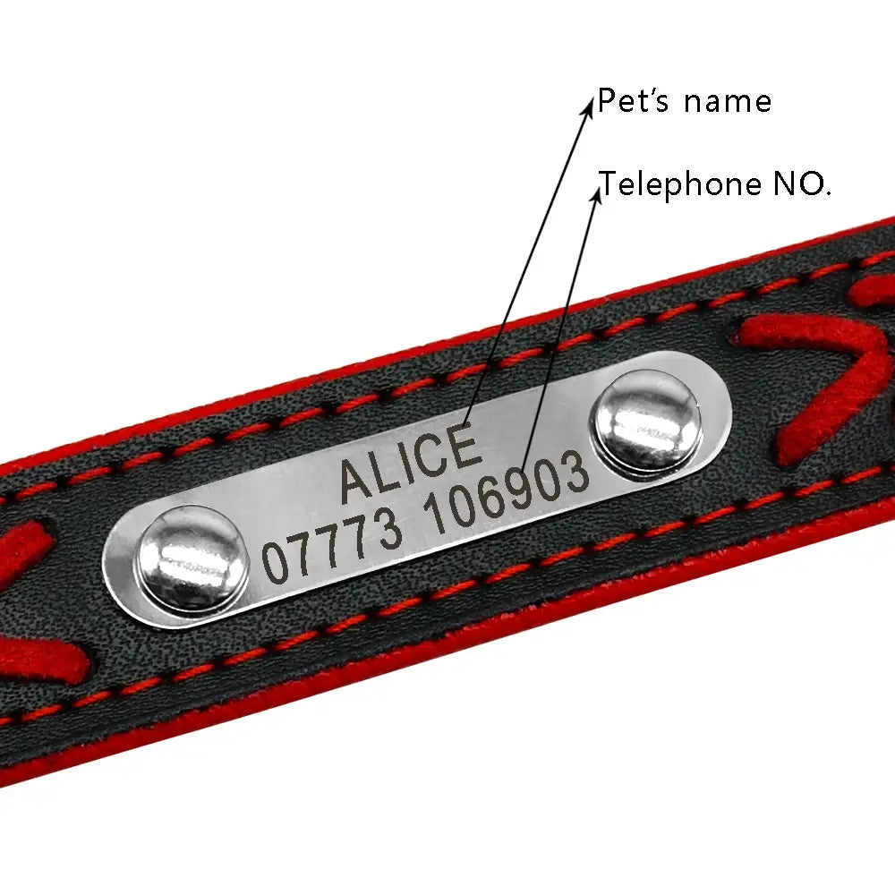 Braided Name-Plated Personalized Leather Dog Collar with Engraved ID Tags