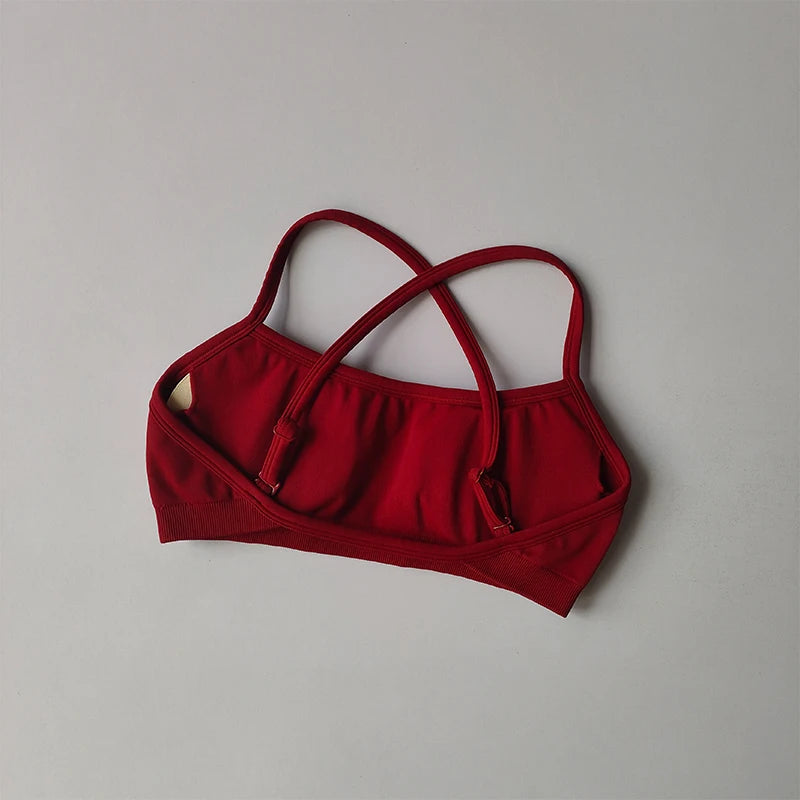 Seamless Sports Bra Shockproof Back Yoga Crop Top Fitness Style