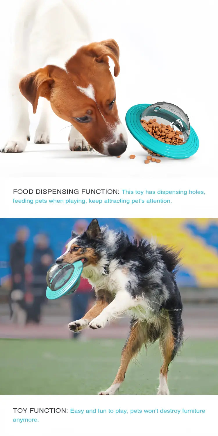 Interactive Dog IQ Toys with Elliptical Track Rolling and Leaky Food Dispenser