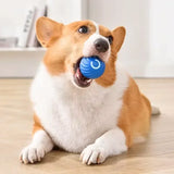 Interactive Gravity Jump Ball Dog Toys Rechargeable Bite Resistant Rolling Ball