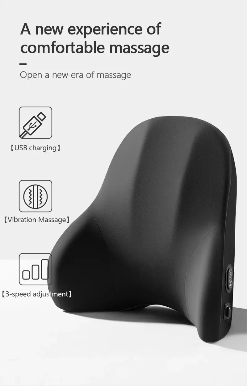 LIVIAUTOLIFE Electric Lumbar Support and Vibration Massage Neck Cushion