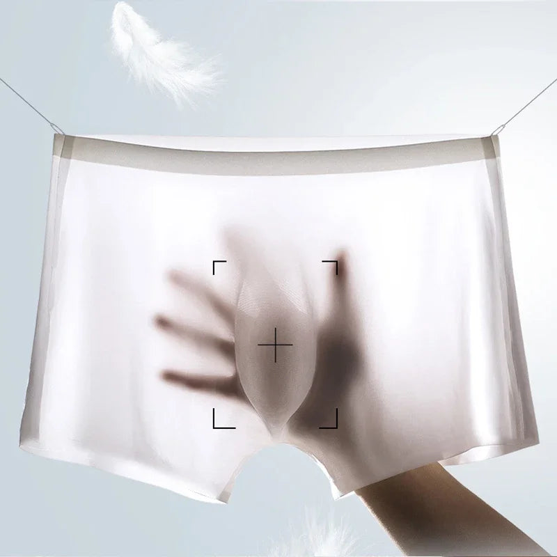 Men's Ice Silk Boxer Briefs 10 Pcs Seamless Ultra-thin Breathable Style