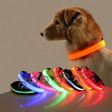 LED Nylon Dog Leash Night Safety Luminous Glow in the Dark Pet Lead