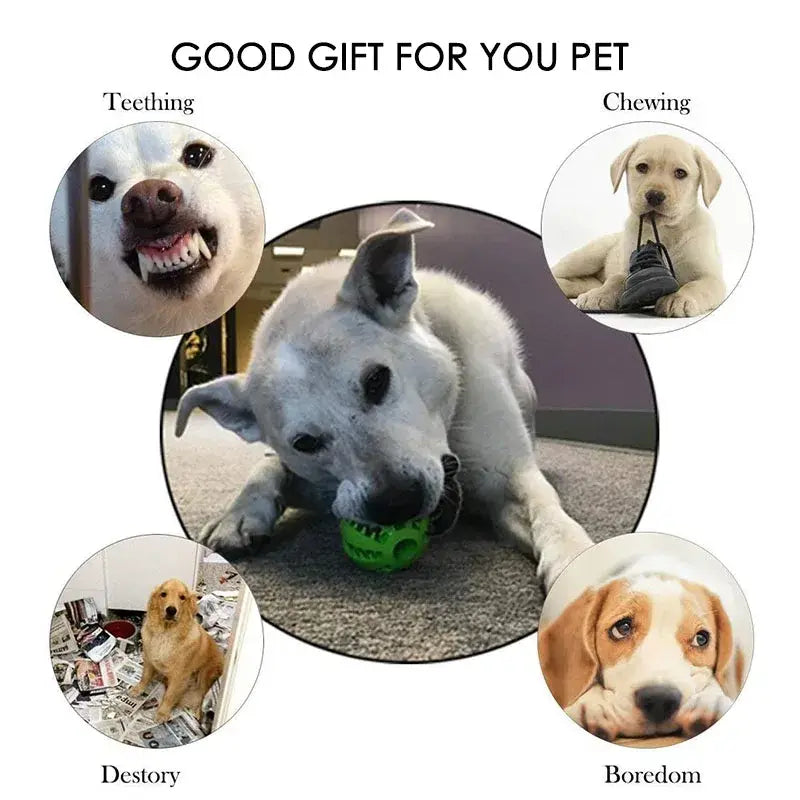 Interactive Dog Toy Ball for Chewing and Treat Feeding in Rubber