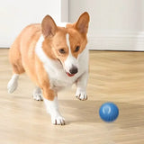 Interactive Gravity Jump Ball Dog Toys Rechargeable Bite Resistant Rolling Ball