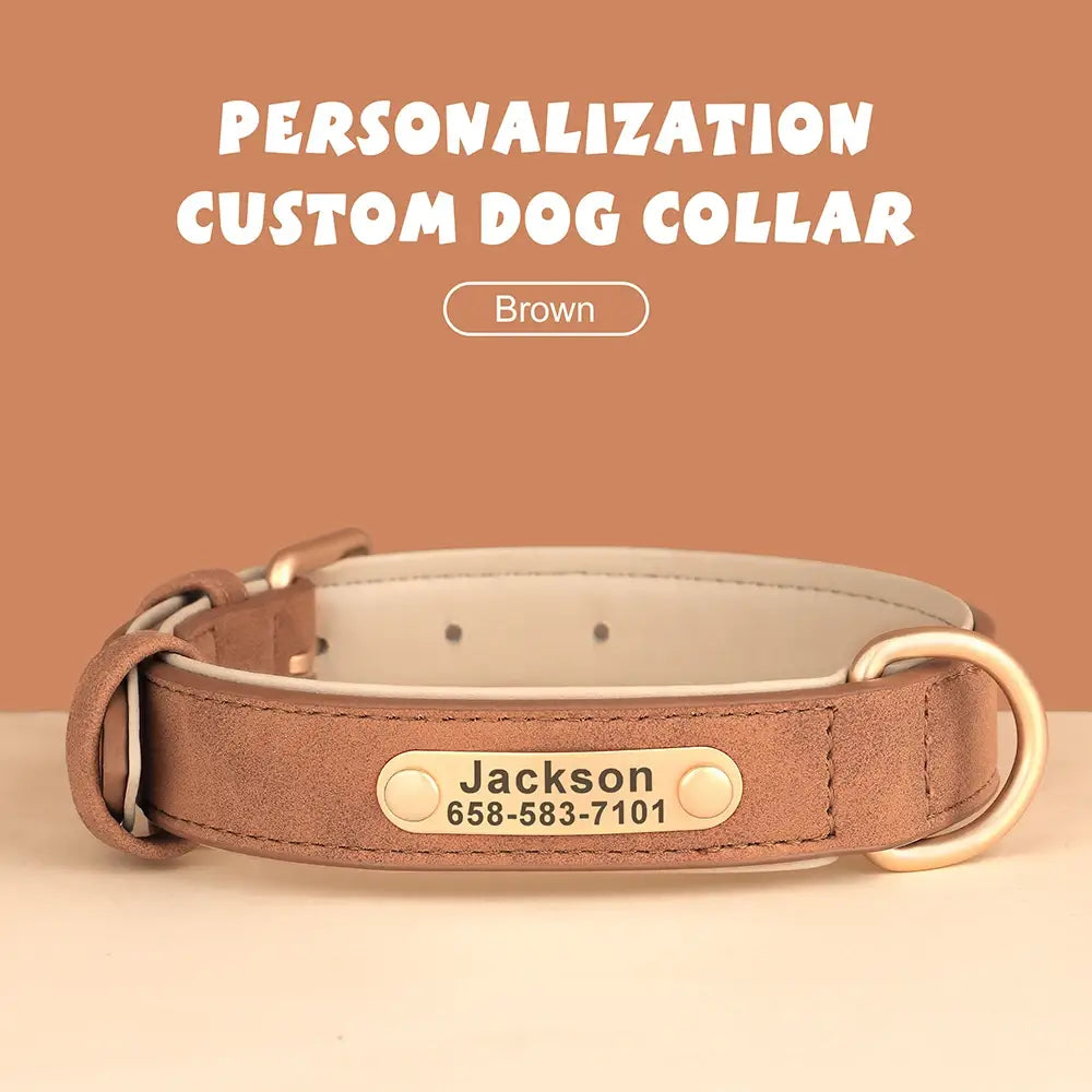 Personalized Dog Collar in Engraved PU Leather with ID Tag