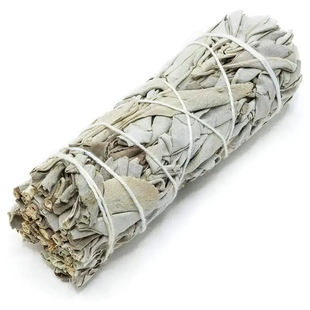 10cm White Sage Bundle for Energy Cleansing and Spiritual Practices