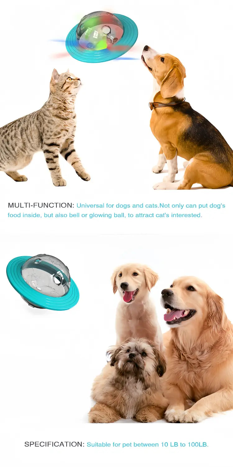 Interactive Dog IQ Toys with Elliptical Track Rolling and Leaky Food Dispenser