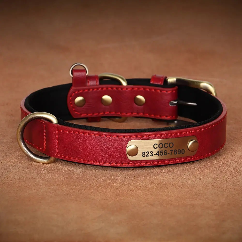 Personalized Dog Collar in Engraved PU Leather with ID Tag