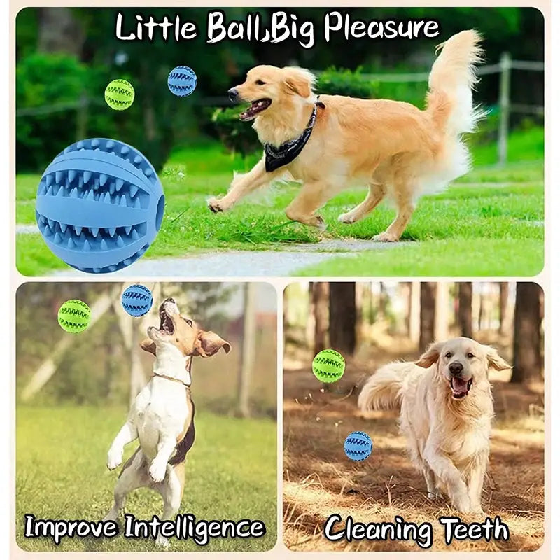 Interactive Dog Toy Ball for Chewing and Treat Feeding in Rubber