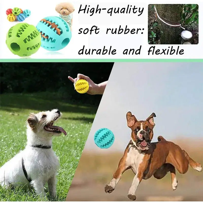 Interactive Dog Toy Ball for Chewing and Treat Feeding in Rubber