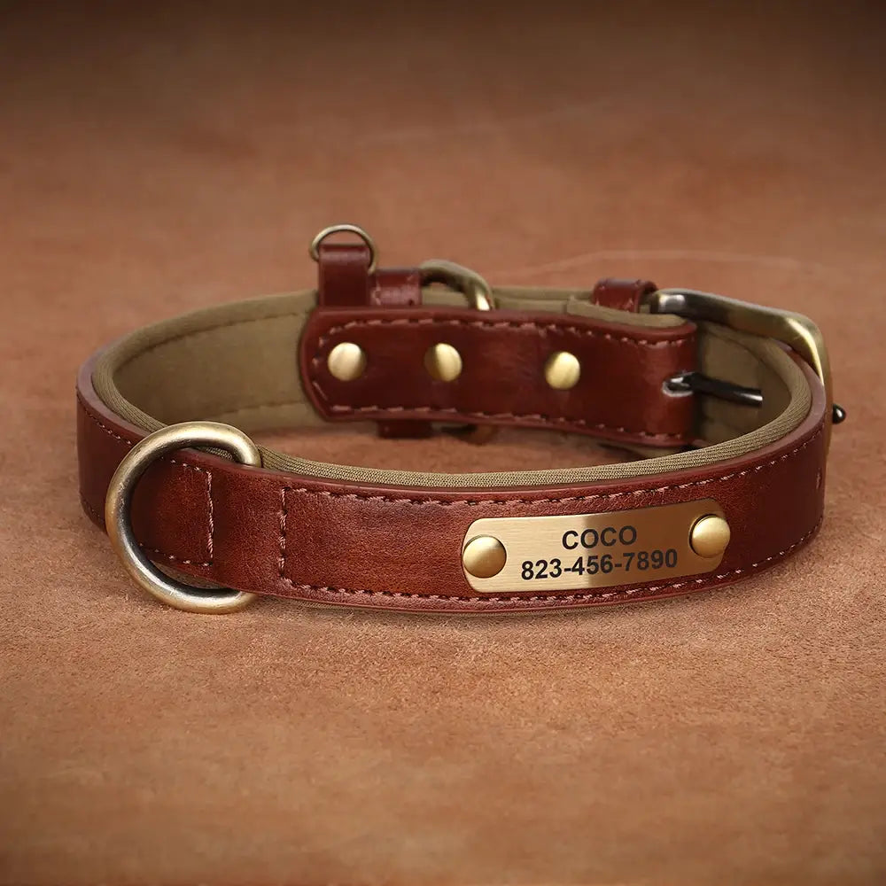 Personalized Dog Collar in Engraved PU Leather with ID Tag