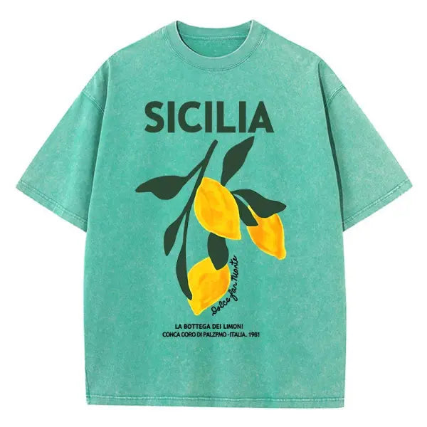 Amalfi Coast Lemon Print T-Shirt – Women’s Washed Y2K Casual Cotton Loose Short Sleeve Top - Green / S / CHINA