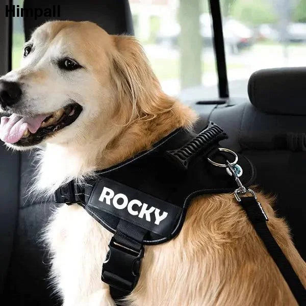 Golden Retriever in a black harness with ROCKY, showcasing an army green adjustable dog seat belt