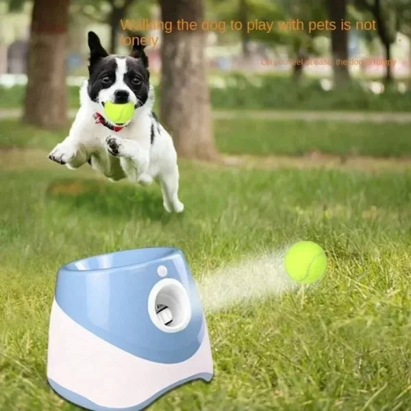 Automatic Dog Ball Launcher – Interactive Tennis Throwing Toy - Himpall