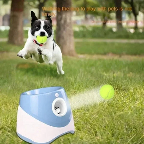 Automatic Dog Ball Launcher – Interactive Tennis Throwing Toy - Himpall