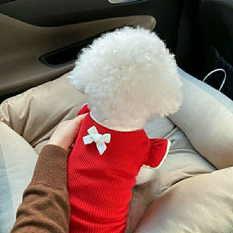 Cat Summer Clothes Small Puppies Pet Dog Thin Breathable - Red / L - Hair Remover