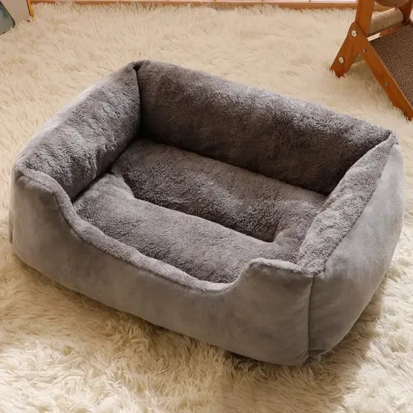Bed for Cats Pet Products Cushions Kitten Winter Accessories Dog All Houses Supplies Things Accessory Habitats Basket