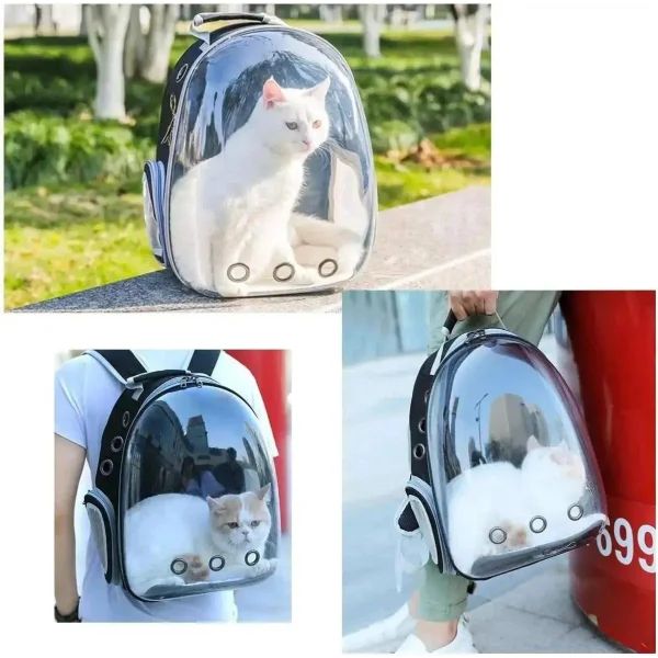 Cat Backpack Carrier Bubble Bag - Go Explore With Your Cat!