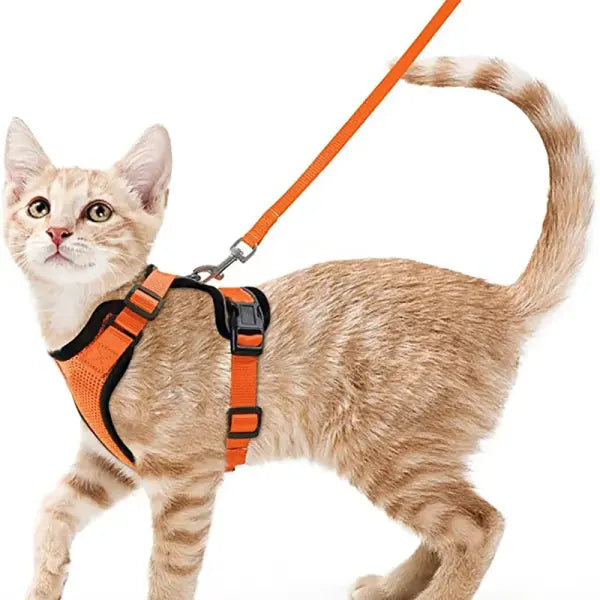 Escape-Proof Cat Harness and Leash Set: Soft Adjustable Walking Vest with EasyControl - orange / XS（old）