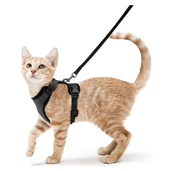 Escape-Proof Cat Harness and Leash Set: Soft Adjustable Walking Vest with EasyControl - black / XS（old）