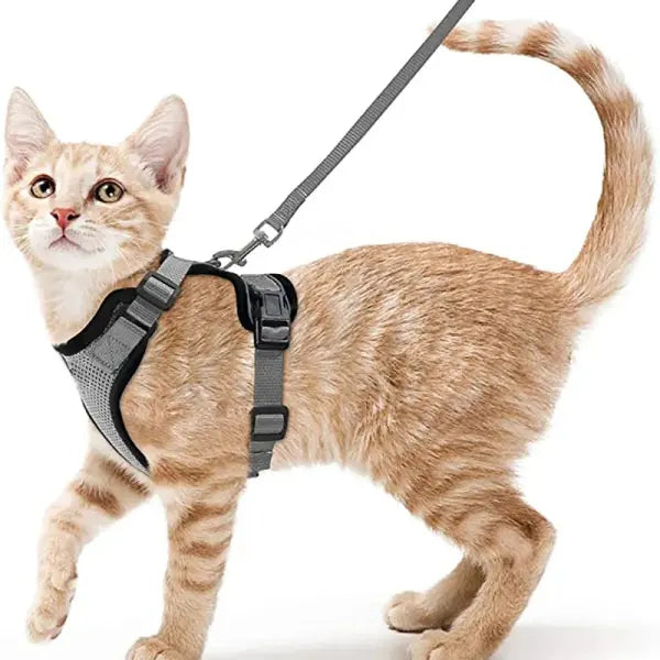 Escape-Proof Cat Harness and Leash Set: Soft Adjustable Walking Vest with EasyControl - GRAY / S