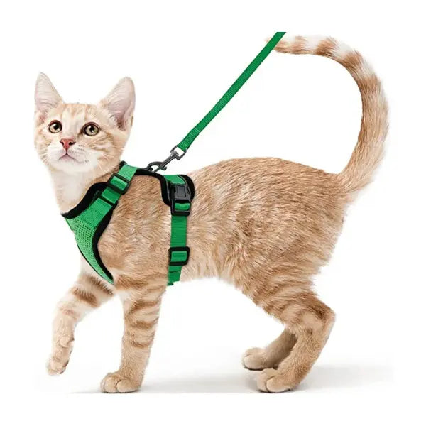 Escape-Proof Cat Harness and Leash Set: Soft Adjustable Walking Vest with EasyControl - green / XS（old）