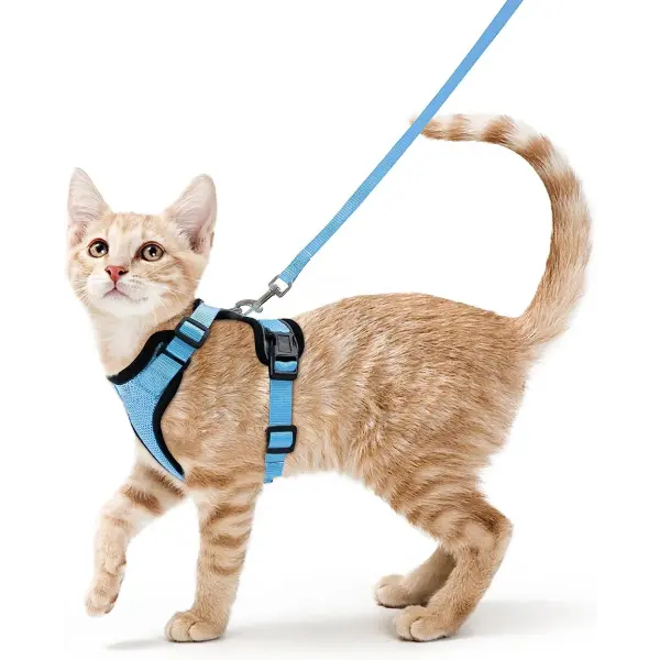 Escape-Proof Cat Harness and Leash Set: Soft Adjustable Walking Vest with EasyControl - Blue / S